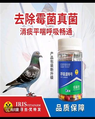 ����˿�������غ�60������