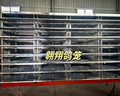 ����ַŷ���