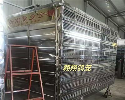 �������繫�ﶨ�Ʋ���ַŷ���