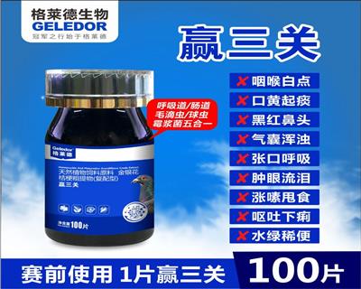 ������Ӯ����