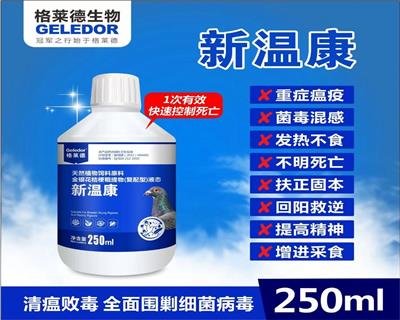 ������ ���¿�