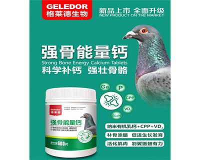 ǿ��������