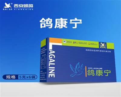 �뿵��5g*6��