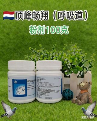 顶峰-畅翔、呼吸道