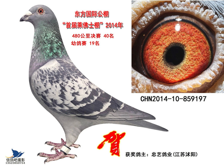 20150307210212.jpg