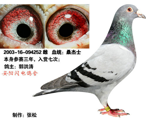 20150901121051.jpg