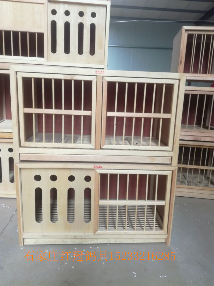 红冠鸽具