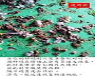 點(diǎn)擊查看大圖