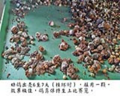 點(diǎn)擊查看大圖