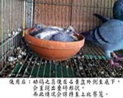 點(diǎn)擊查看大圖