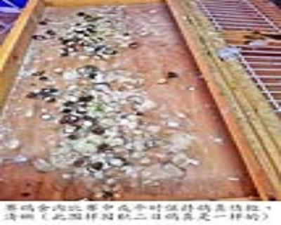 點(diǎn)擊查看大圖