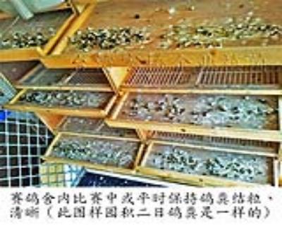 點(diǎn)擊查看大圖