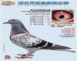 ӱ빫530ǰ100񽱸ַ