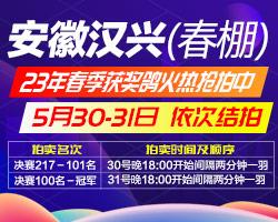 安徽汉兴公棚2023年决赛1-217名获奖鸽拍卖公告