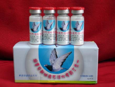 三合一疫苗(鸽宝贝新城病不活化疫苗三合一