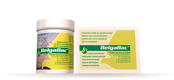 迪威德鸽药 顶级活菌belga bac