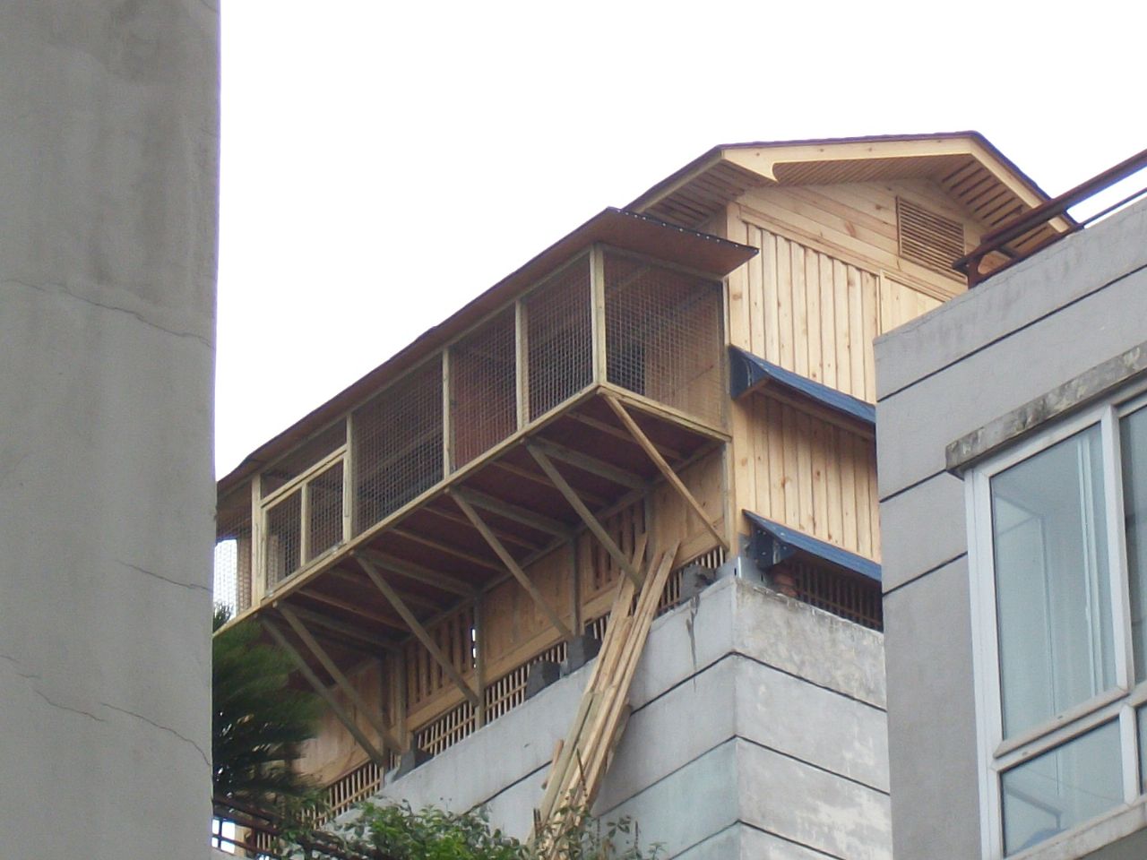 鸽舍建造成功