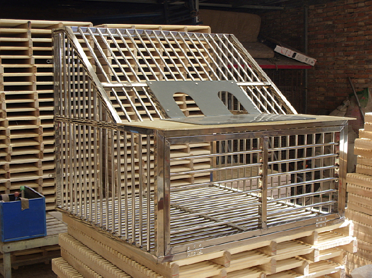 中信网鸽业大全