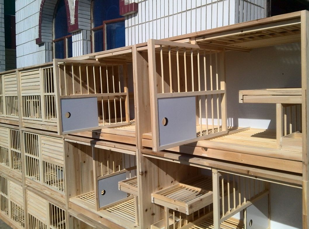 [新款]种鸽配对笼【上中插门】