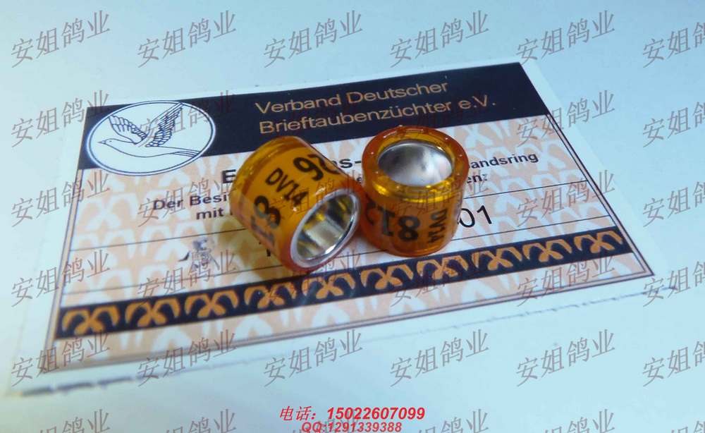 正品2014德国鸽环