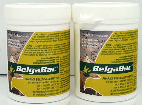 迪威德顶级活菌(原装进口)产品展示--中信网鸽业大全