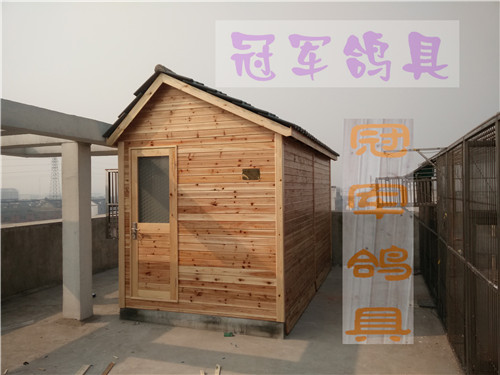 小型欧式鸽舍