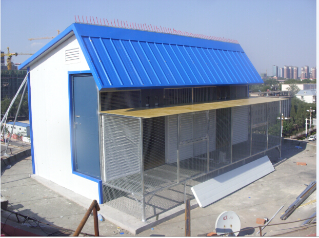 中信网鸽业大全