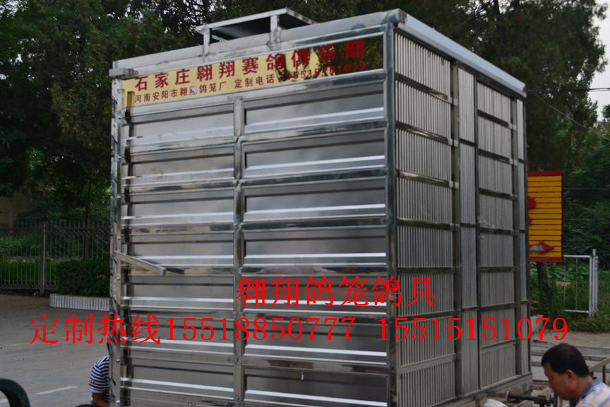 石家庄翱翔赛鸽