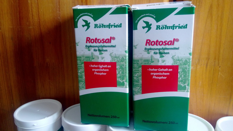 隆飞尔【科特壮】体能恢复液