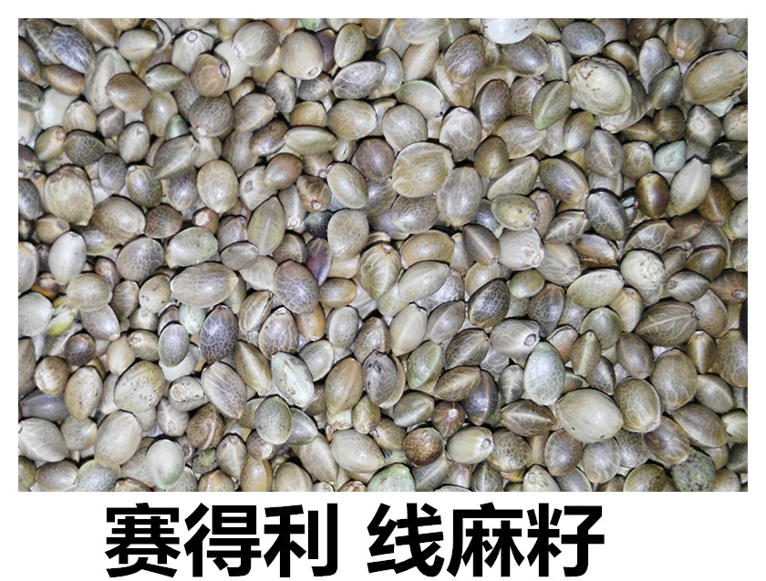 麻籽(火麻子)