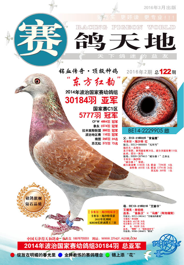 賽鴿天地雜誌122期