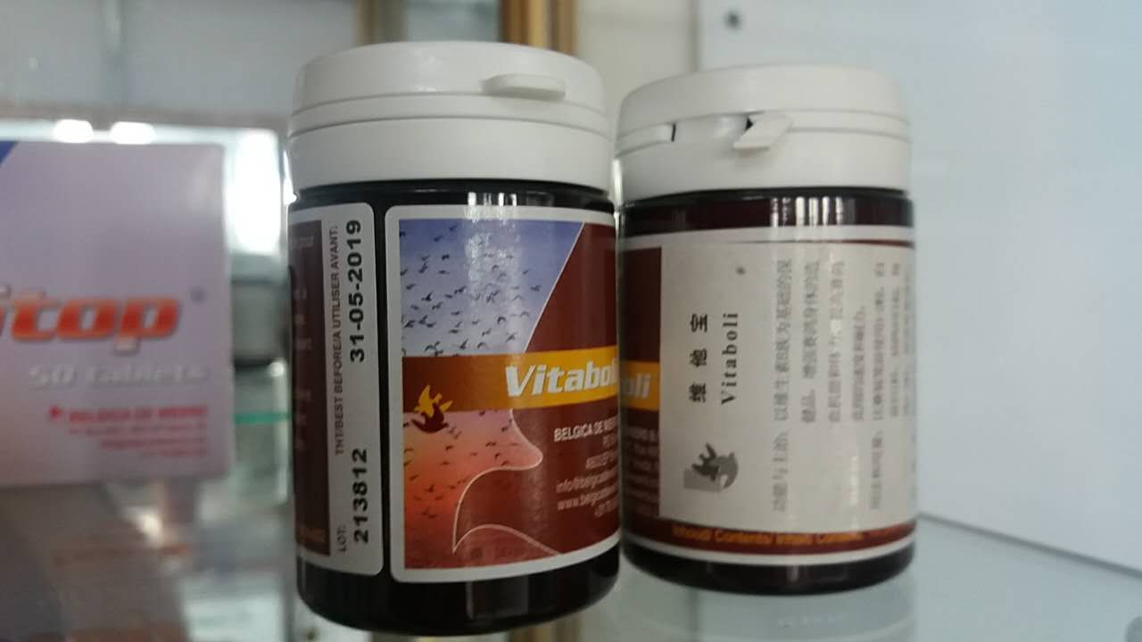 维他宝(迪威德)产品展示 - 中信网鸽业大全