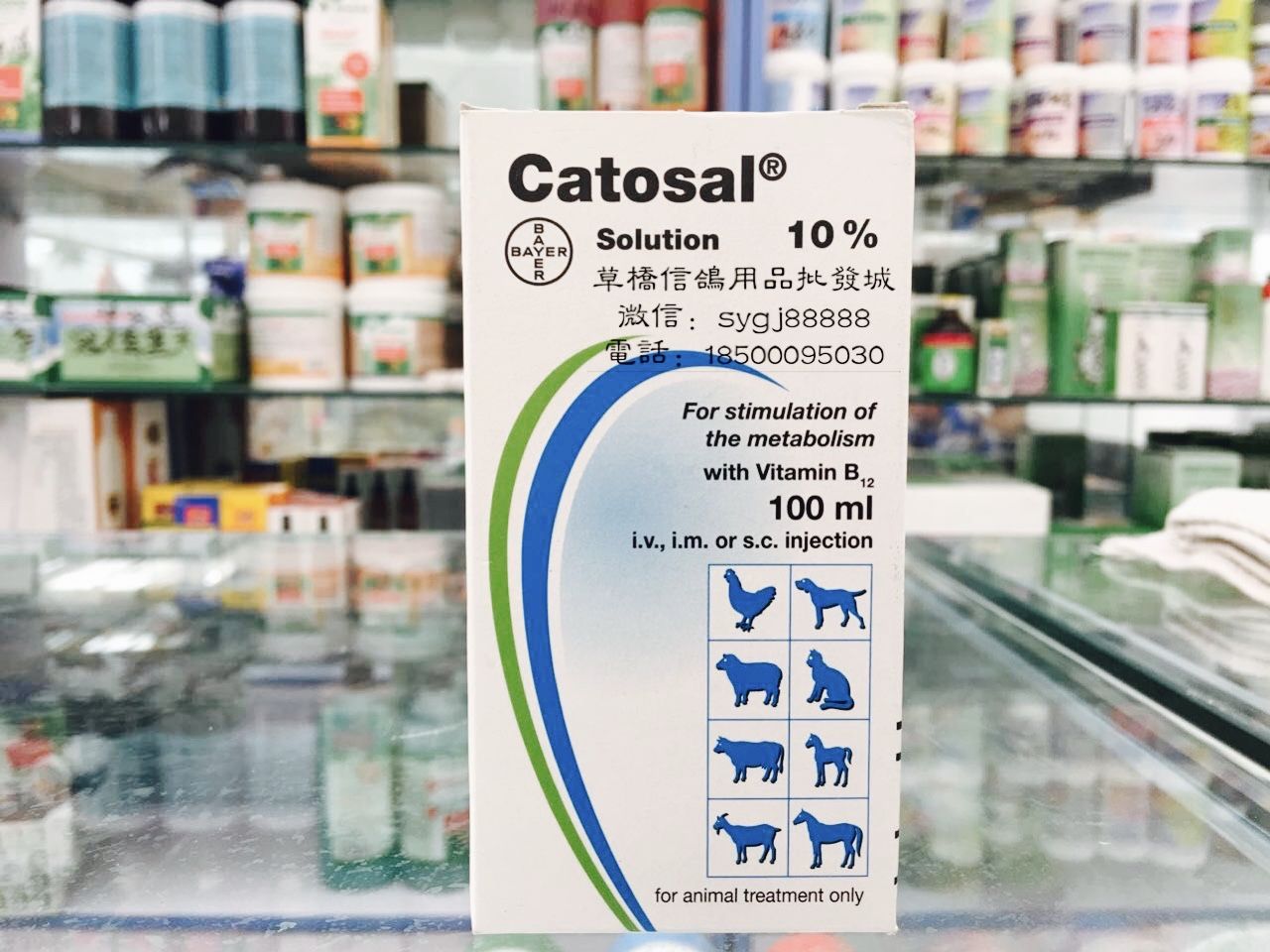 拜耳科特壮【八图版】