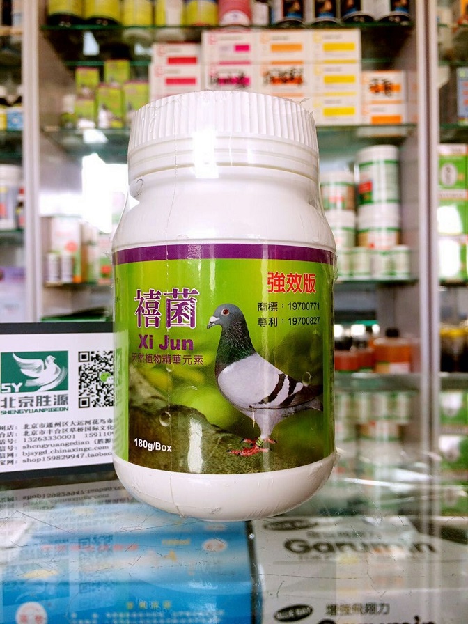 菌鴿藥/賽鴿促消化/活益菌粉末/禧菌粉-北京勝源鴿店-中信網鴿業大全