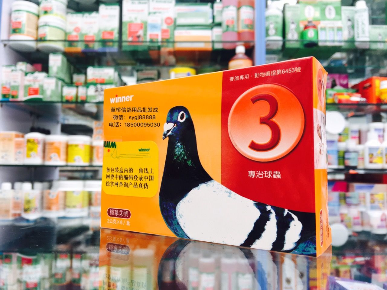 天津稳拿3号(球虫)