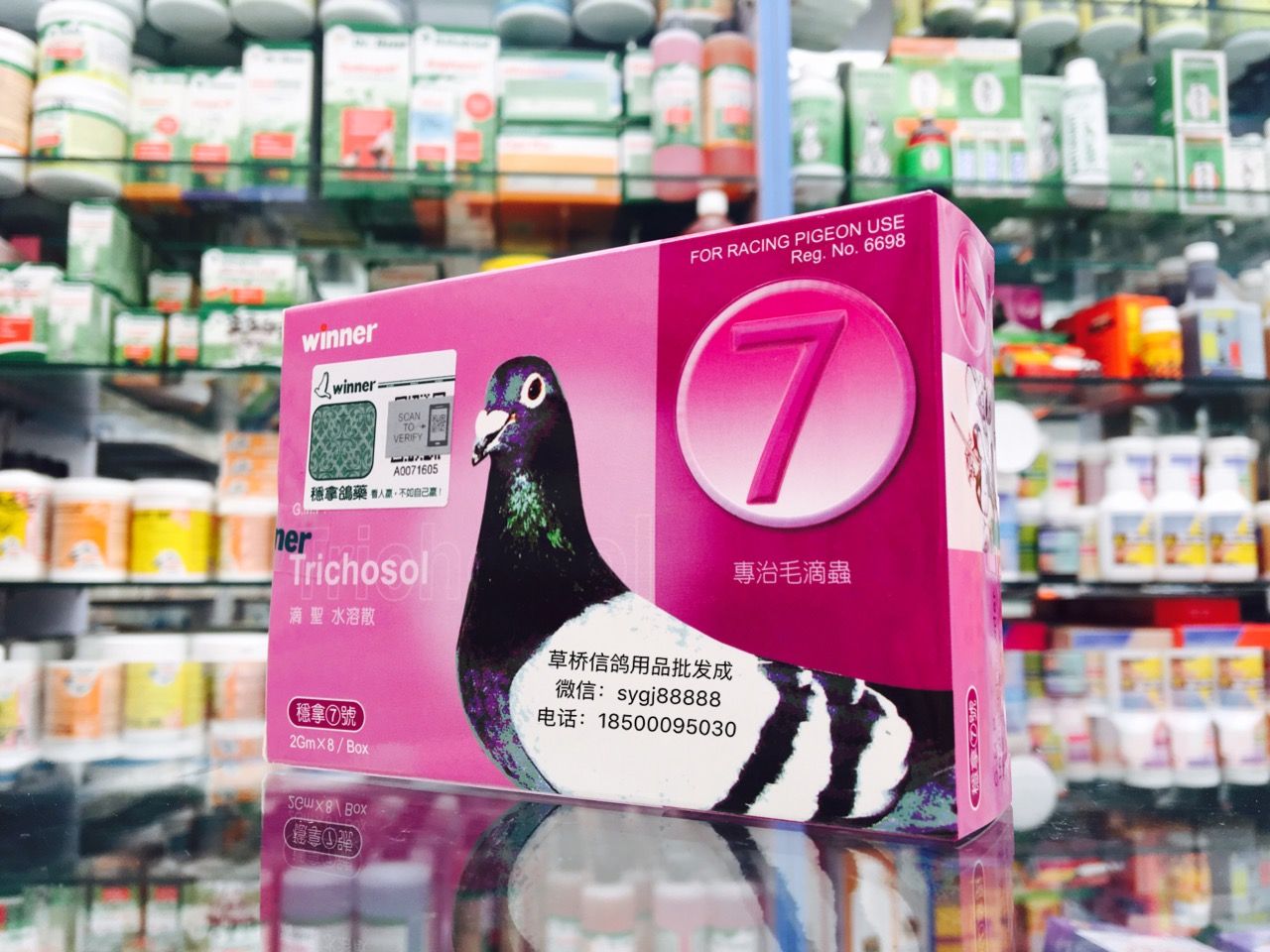 天津稳拿 7号/毛滴虫