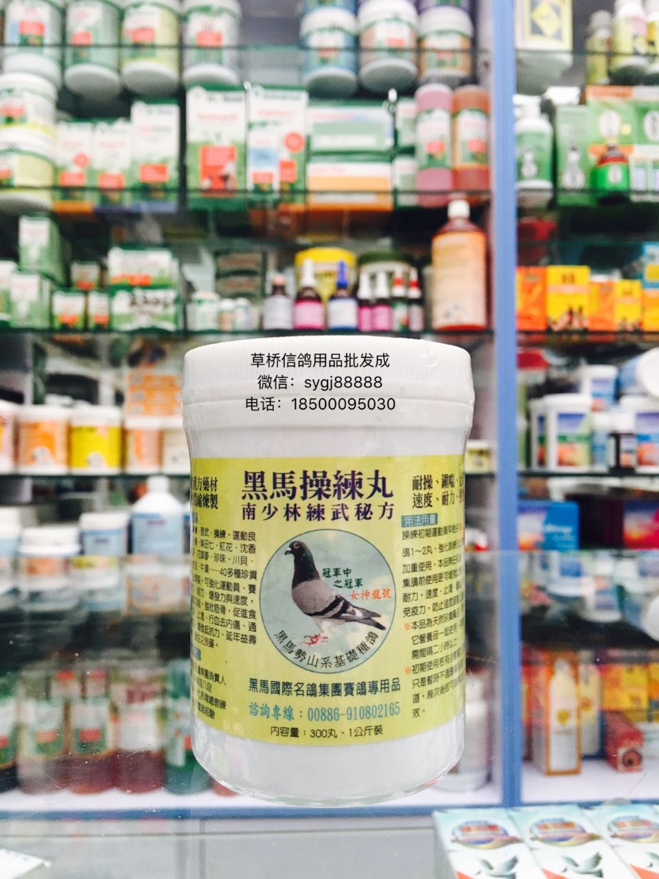 台湾黑马-操练丸产品展示--中信网鸽业大全