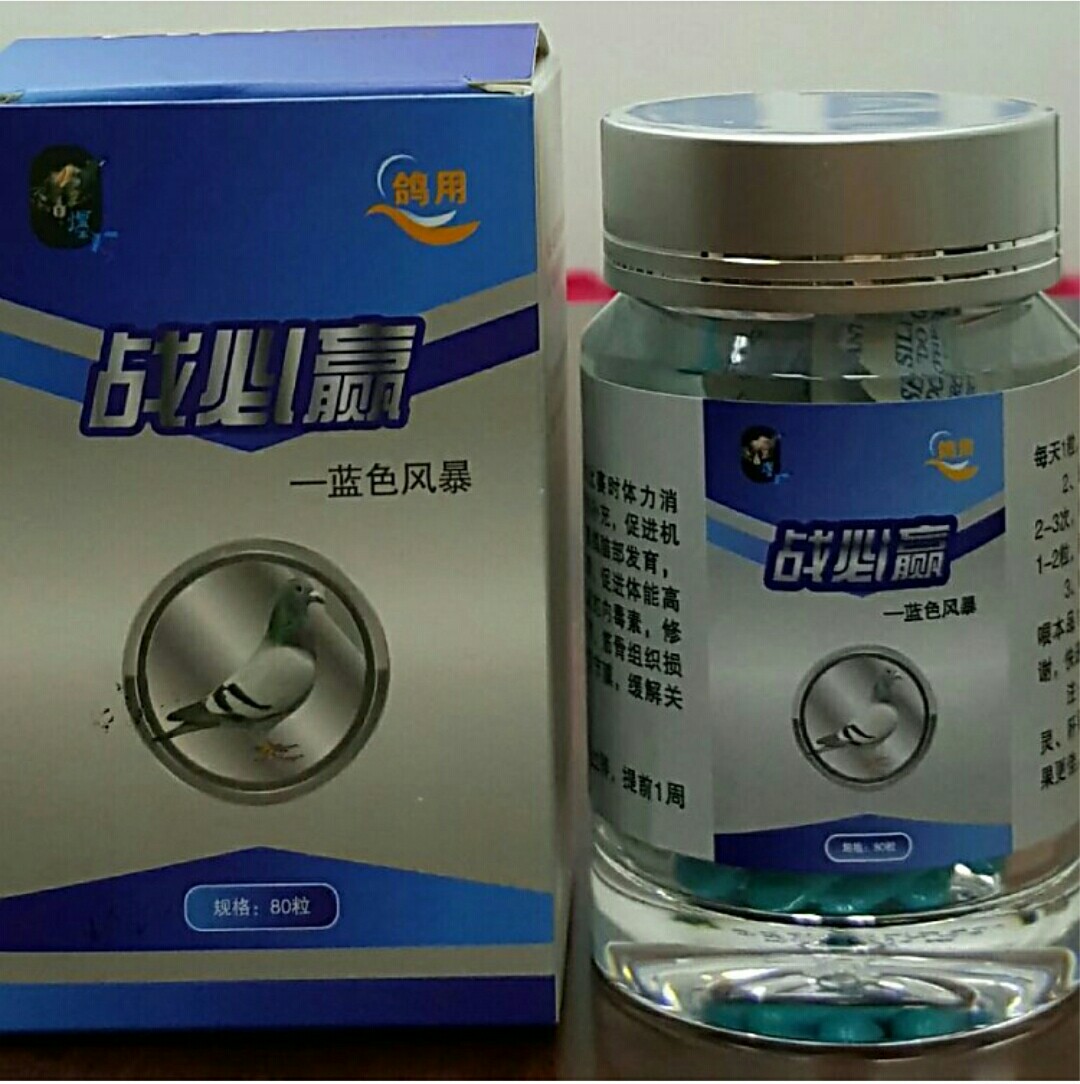 爆灯鸽药~战必赢