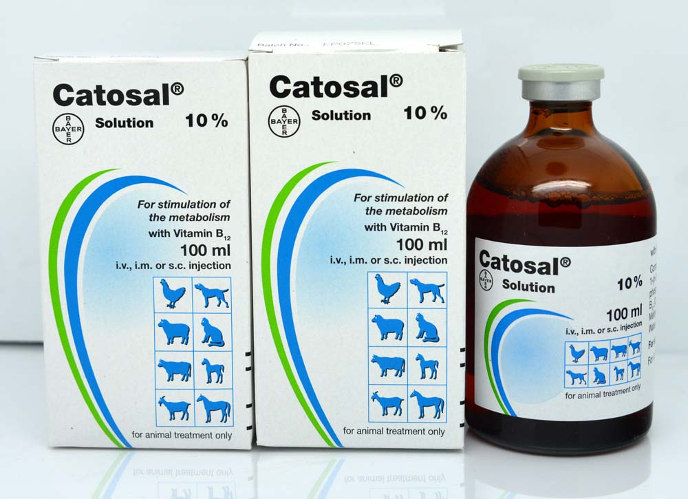 德国拜耳科特壮