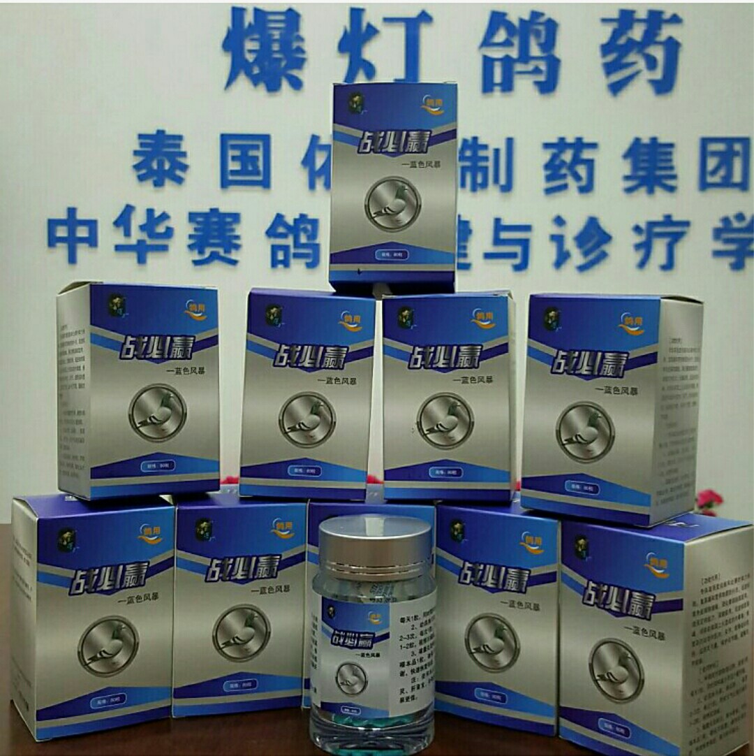 爆灯-战必赢产品展示--中信网鸽业大全