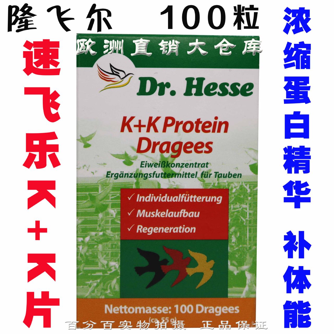 k k 速飞乐 隆飞尔 欧洲原装产品展示--中信网鸽业大全