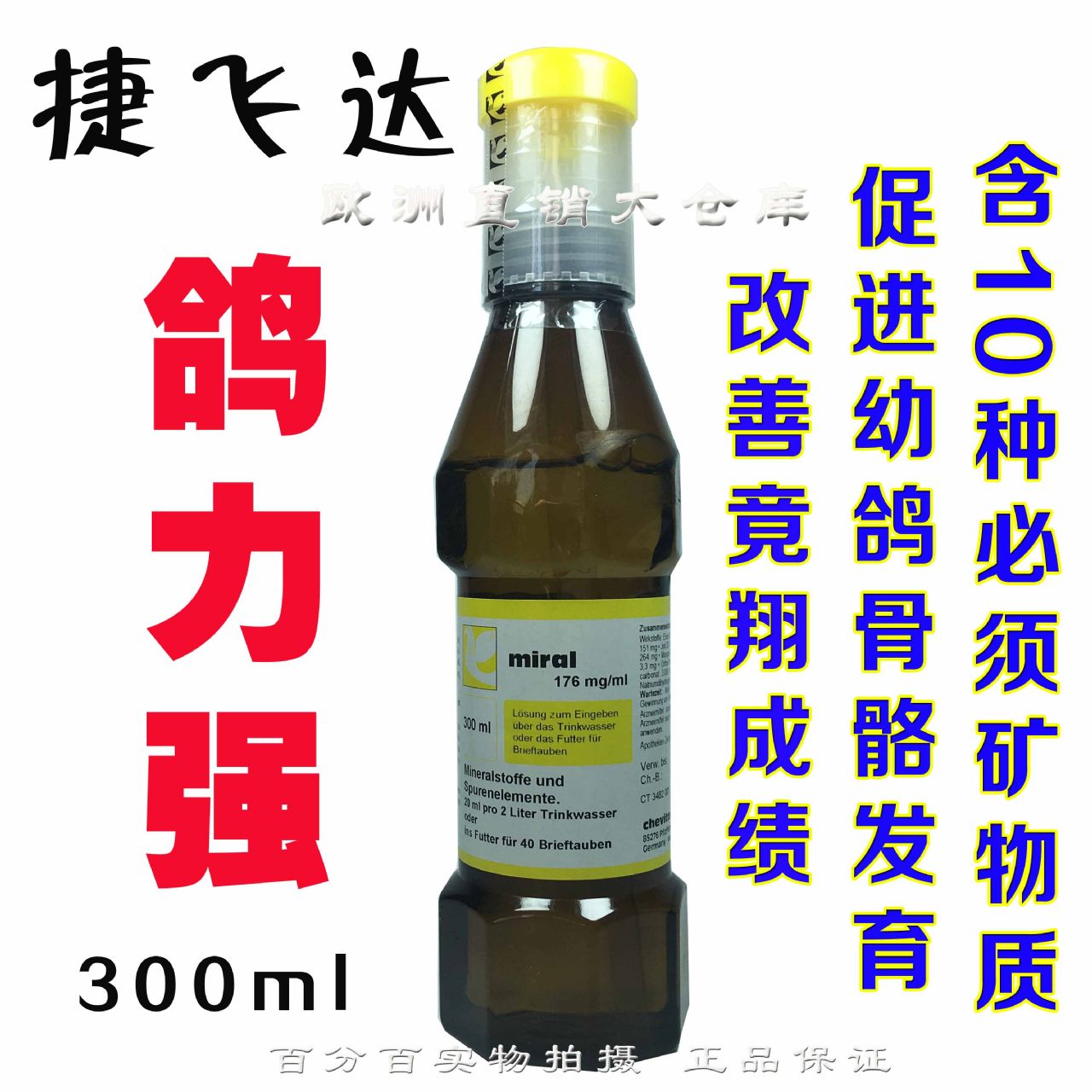 捷飞达鸽力强(17)号