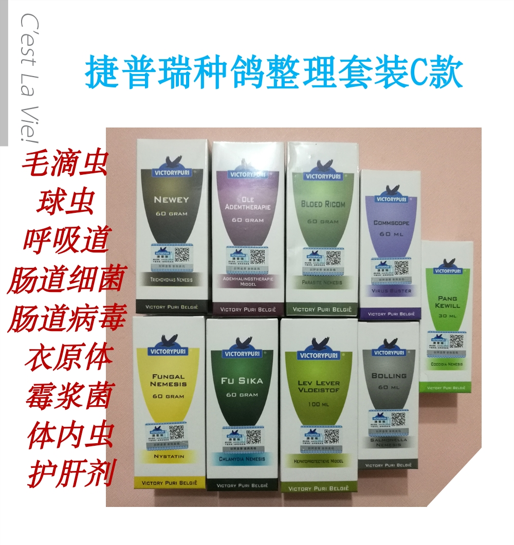 比利时捷普瑞种鸽整理套装c款