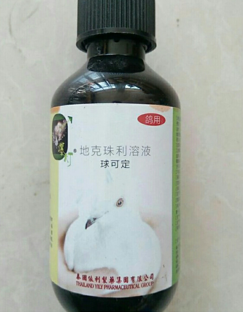 爆灯鸽药~球可定产品展示--中信网鸽业大全