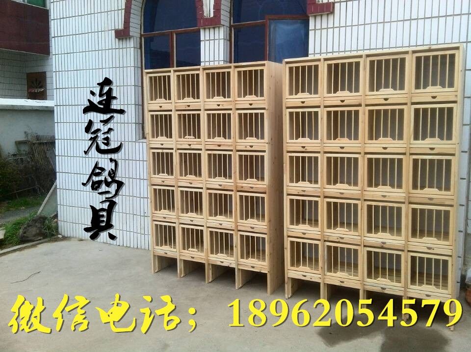 赛鸽巢箱-连冠鸽具-中信网鸽业大全