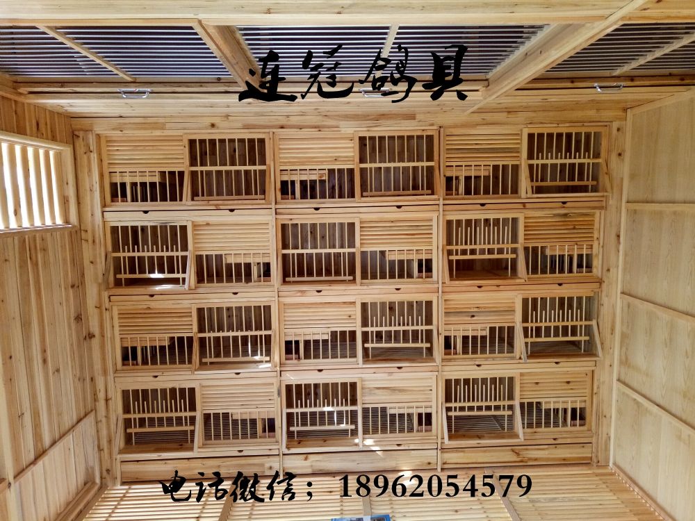 连冠鸽具
