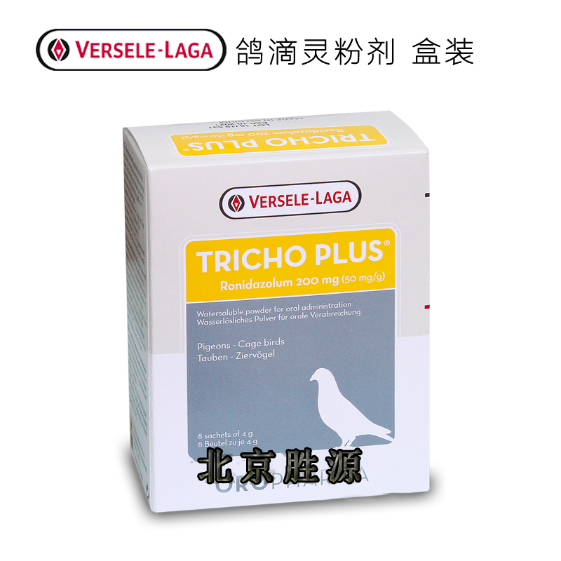 凡赛尔鸽滴灵欧乐强鸽滴灵