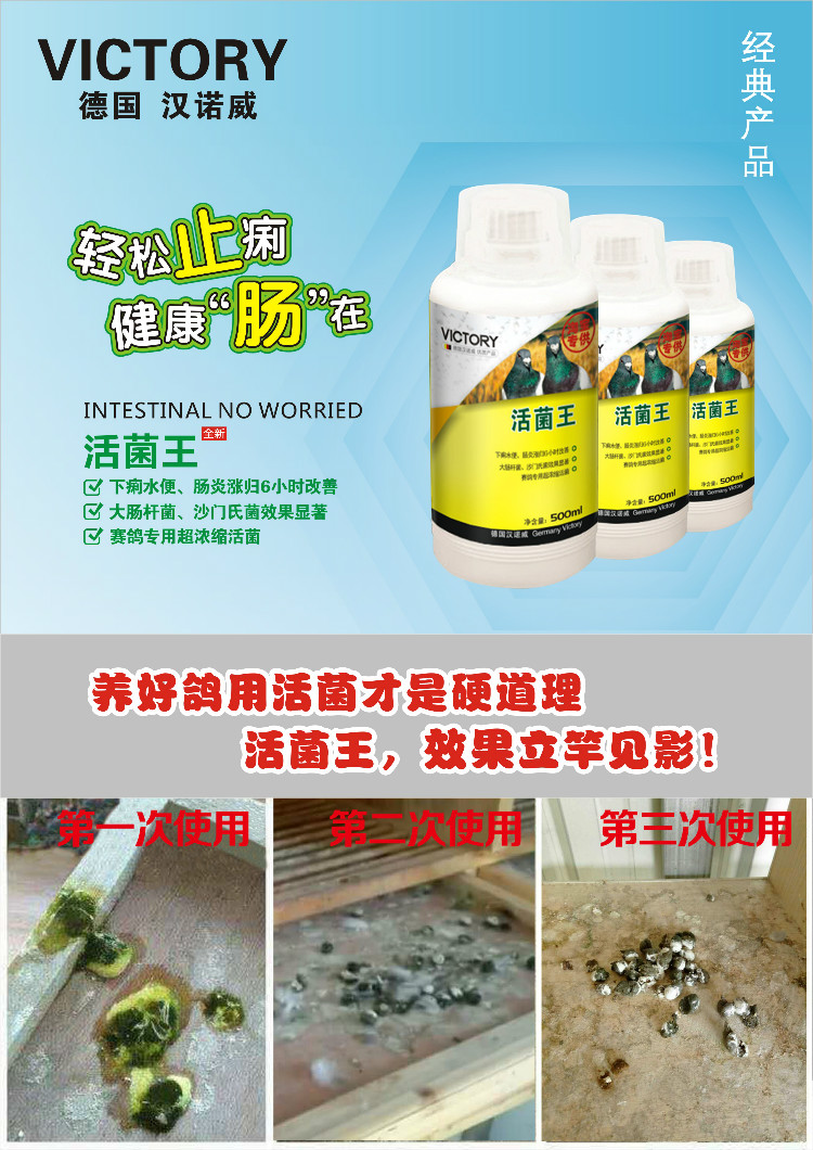 活菌王汉诺威鸽药肠道特效赛鸽信鸽种鸽幼鸽保健品百益活菌