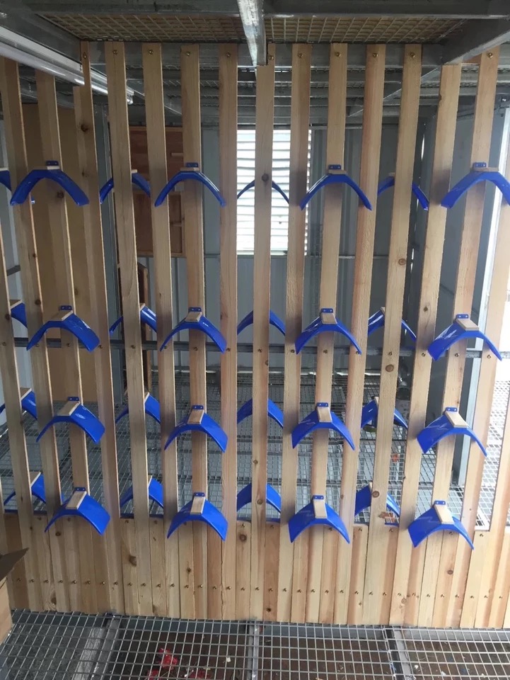 信鸽栖架10个一箱