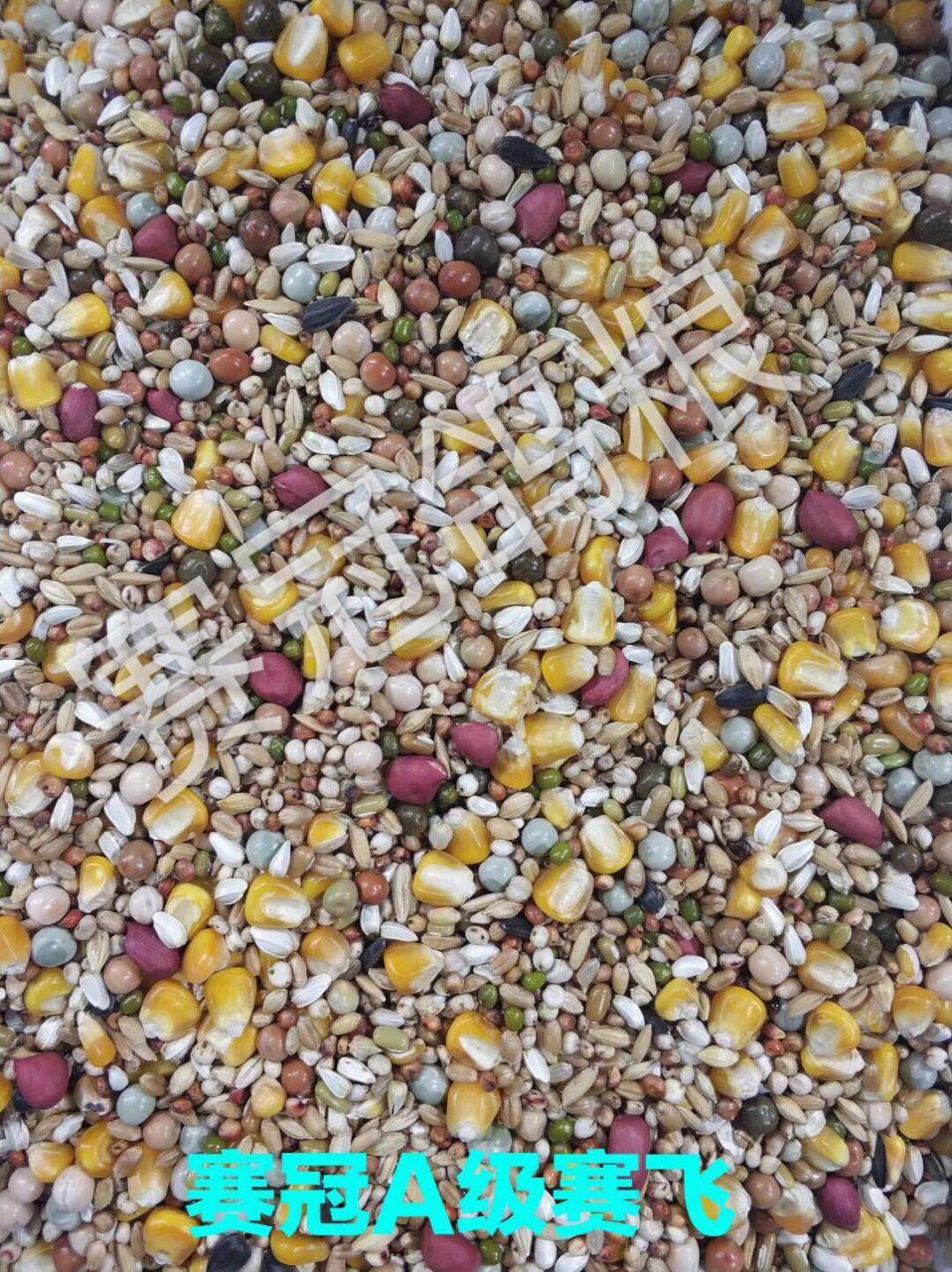 商品详情评价详情(0)赛鸽比赛专用饲料,赛冠鸽粮诚招全国代理商,赛冠